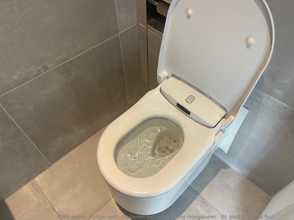Redenen wc verstopping Hoogeveen: dit gaat meestal fout