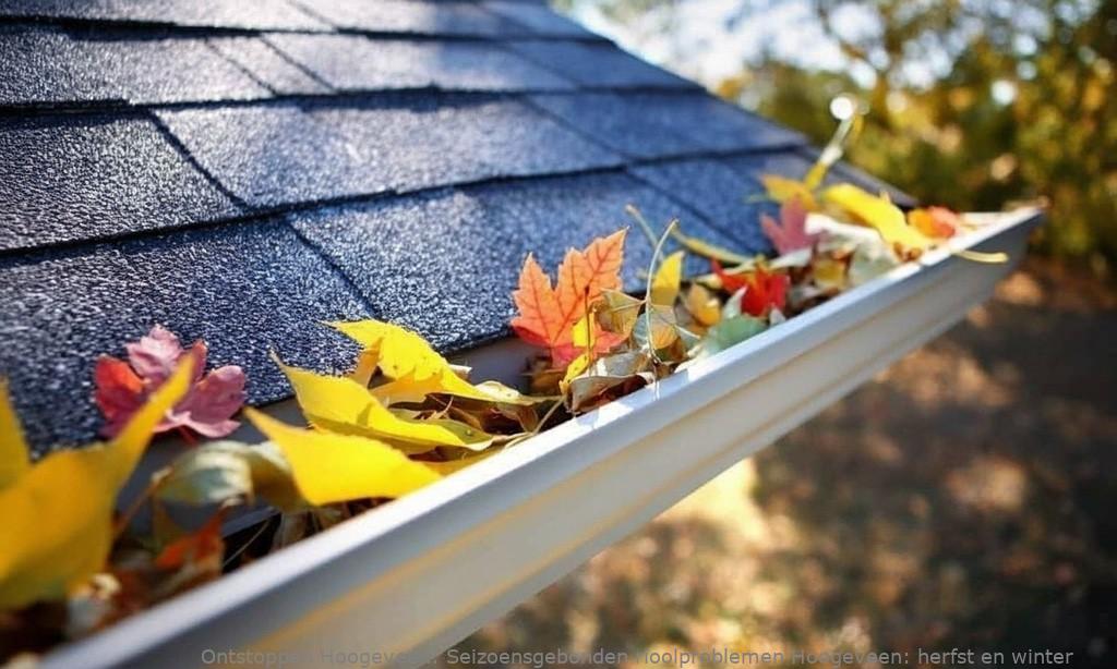 Seizoensgebonden rioolproblemen Hoogeveen: herfst en winter